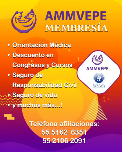 AMMVEPE